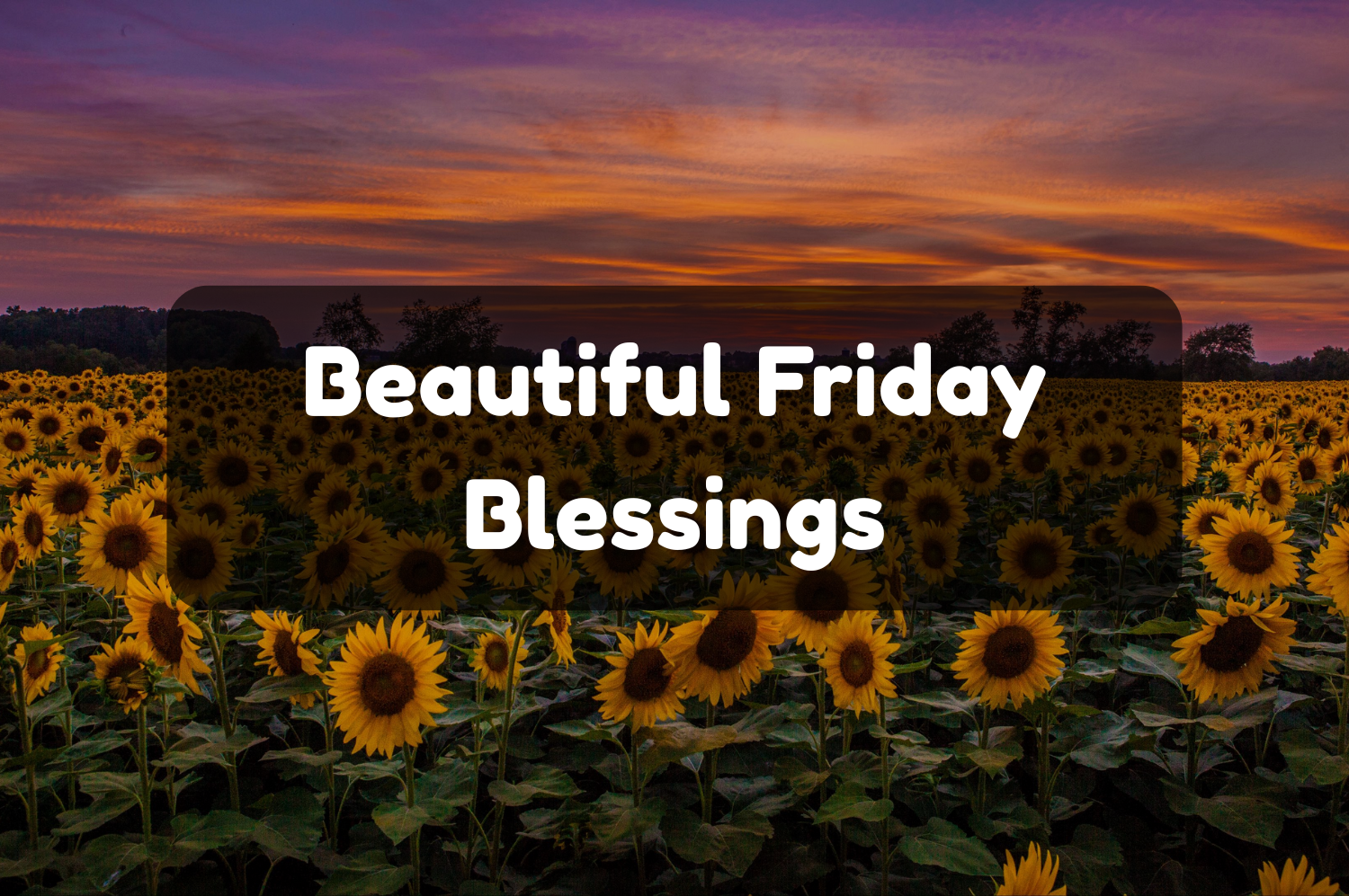 Friday Blessings