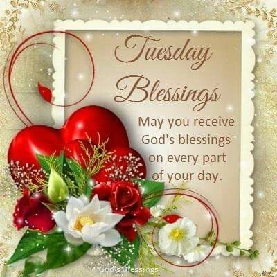 happy tuesday