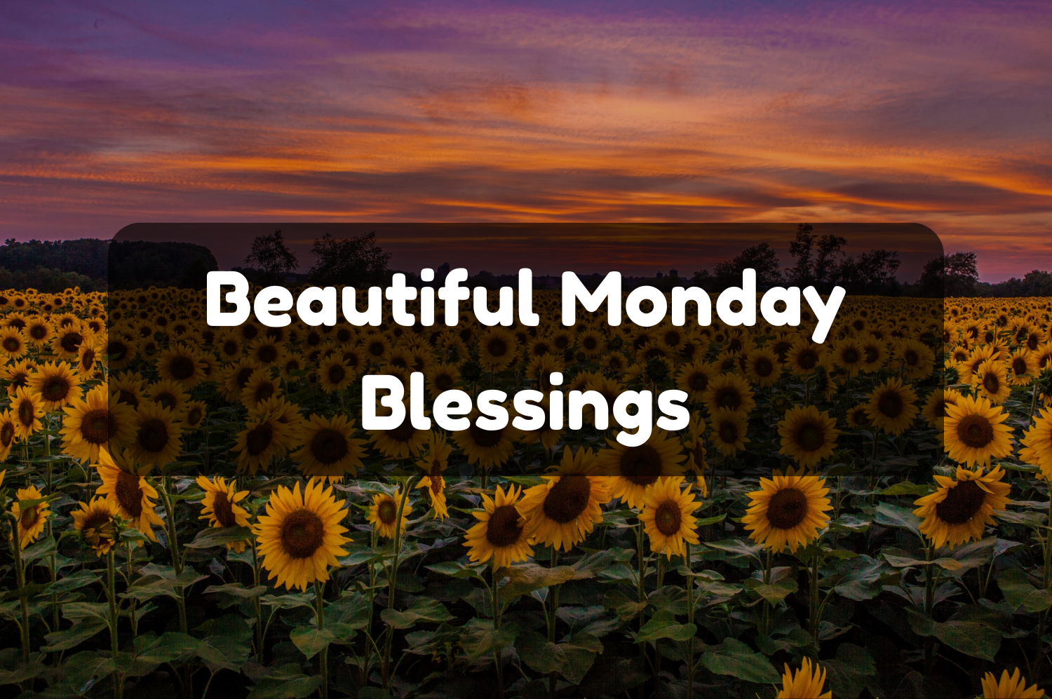 Monday Blessings