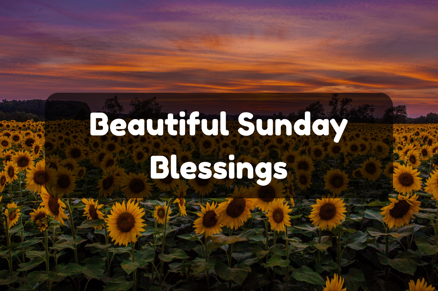 sunday blessings