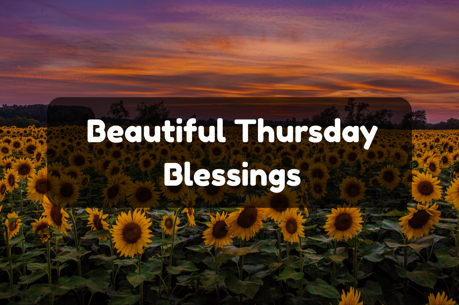 Thursday Blessings