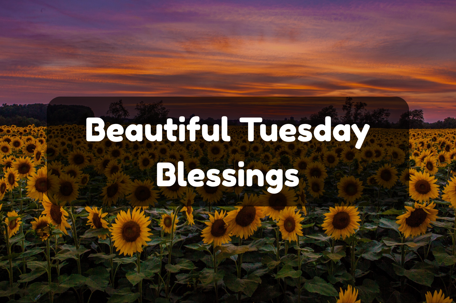 tuesday blessings