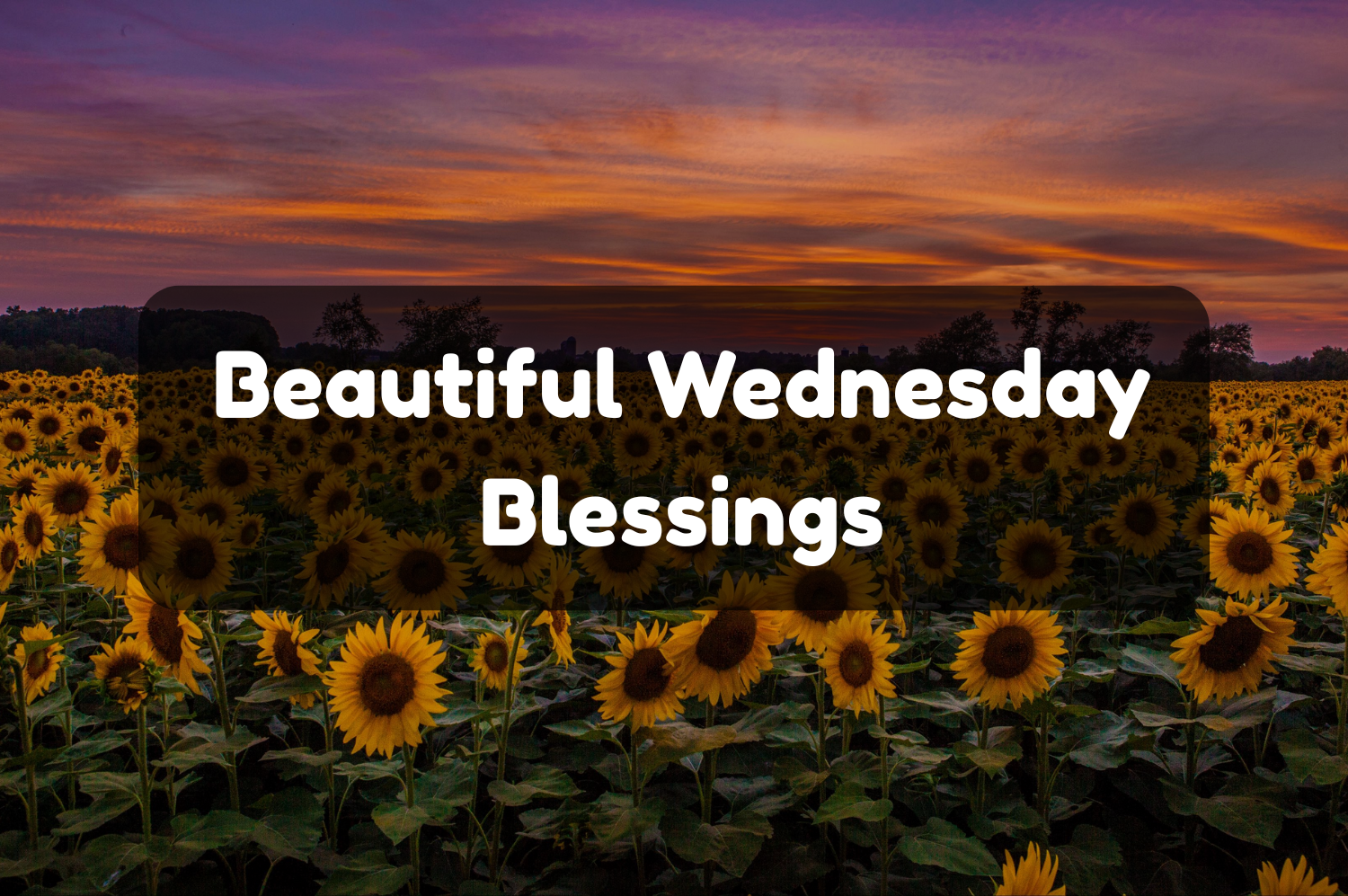 Wednesday Blessings