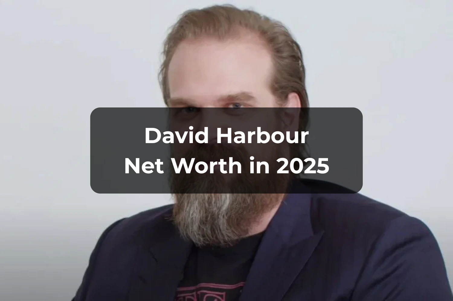 David Harbour Net Worth 2025