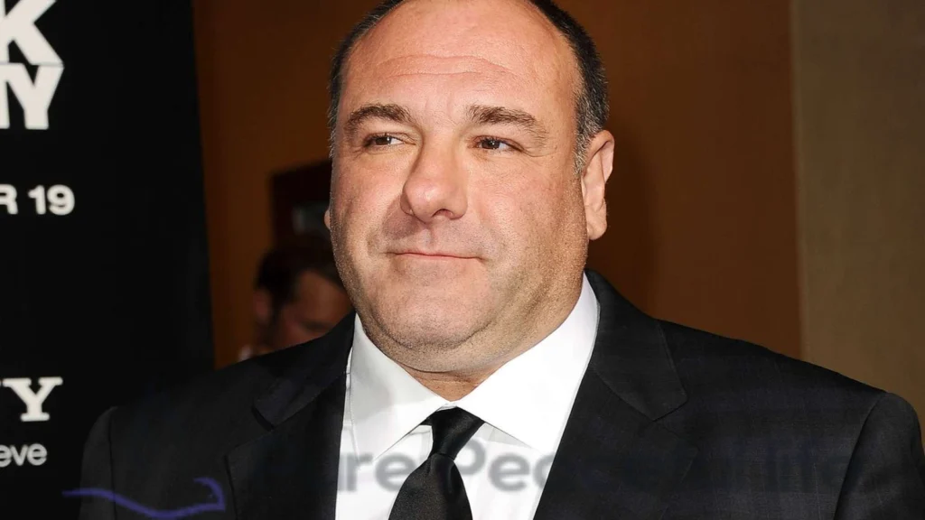James Gandolfini’s Career