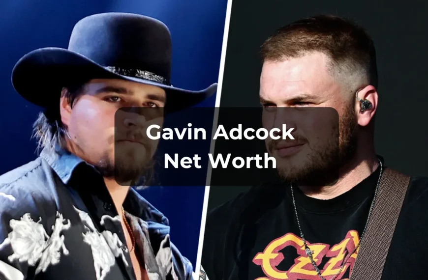 Gavin Adcock Net Worth
